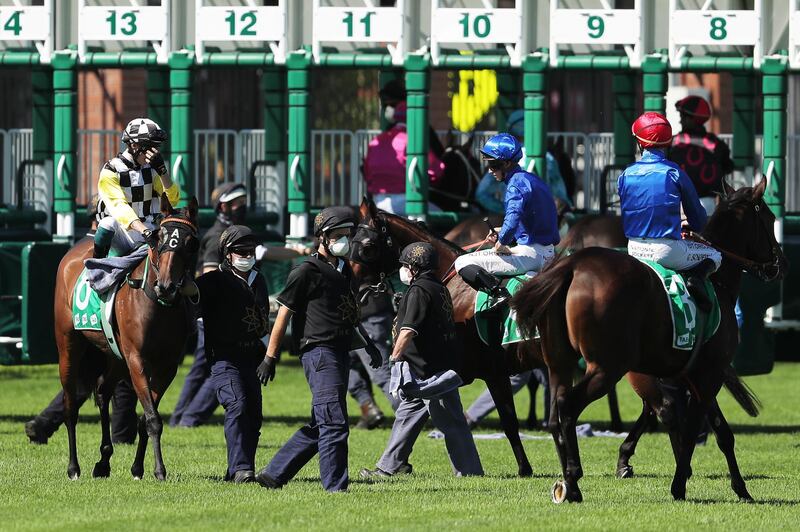 The field prepare for the Adrian Knox Stakes. Getty