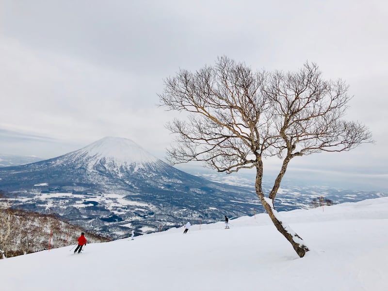 Niseko, on the island of Hokkaido, is a favourite for skiing during winter