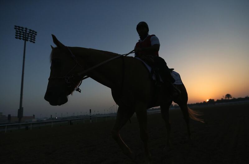 Preparations for the 25th Dubai World Cup at Meydan ramp up. EPA