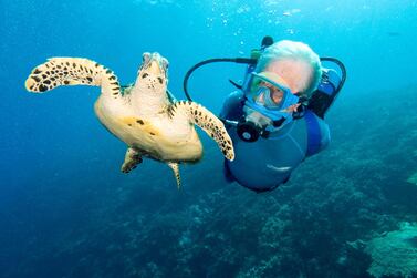 Jean-Michel Cousteau swims with a Hawksbill turtle in Papua New Guinea. Photo: Carrie Vonderhaar