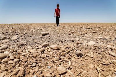 Dried up fields in eastern Iraq. The Middle East is facing huge pressure on water supplies. AFP