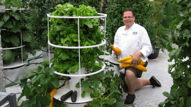 Chef John Mooney harvests fresh vegetables on the roof of the restaurant.