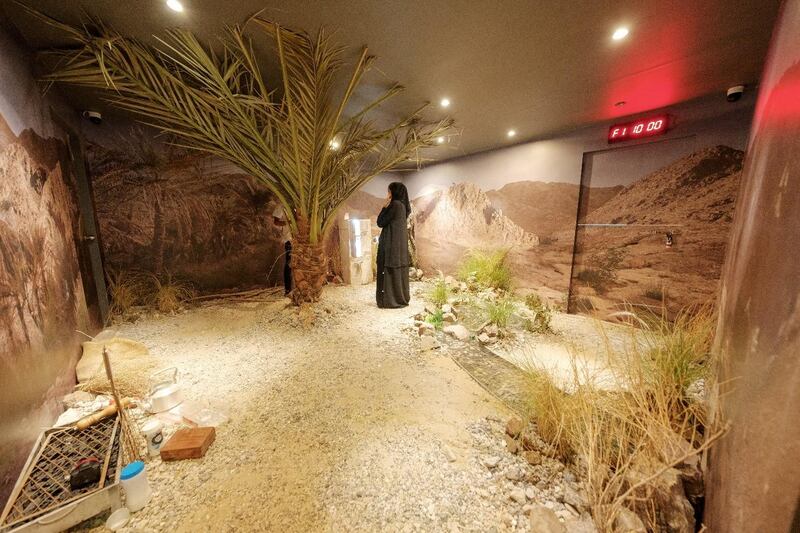 Desert Survival Challenge is the UAE’s first conservation-themed 3D virtual escape room.