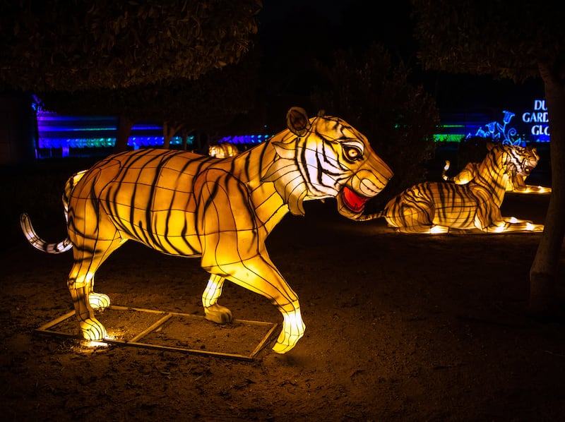 This year, there's a new Glowing Safari, with brightly lit animals 'wandering around'