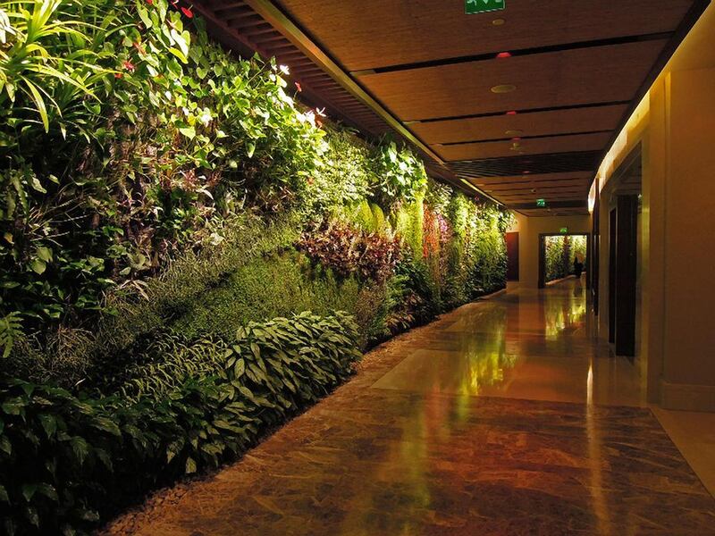 A vertical garden by field-leading French botanist Patrick Blanc in a corridor at the Sofitel Dubai The Palm Resort and Spa. Courtesy Patrick Blanc
