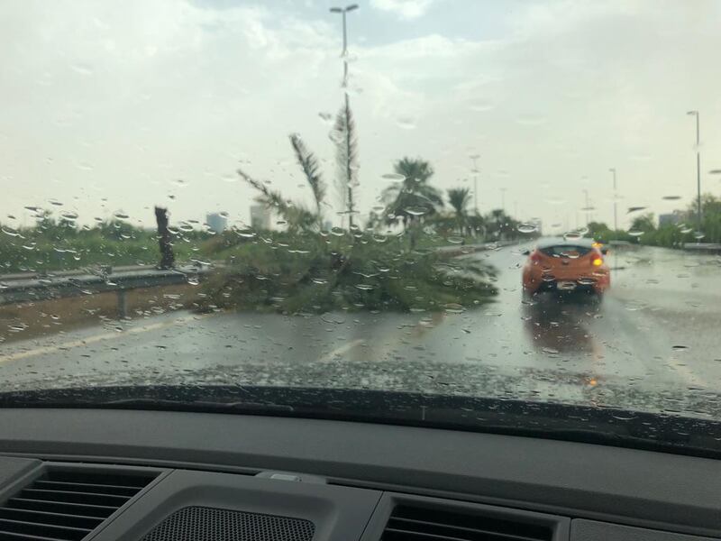 A palm tree is felled by the strong wind during a storm in Dubai on Friday. The National