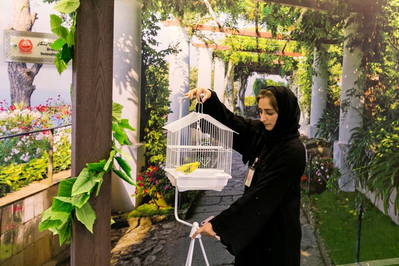A Dubai Police employee tends to a birdcage in the headquarters' garden.