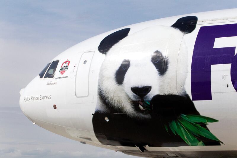 A Federal Express aircraft carrying two panda bears arrives at Pearson International airport in Toronto March 25, 2013. The two bears are on loan to Canada from China for 10 years. They will spend the first five years at the Metro Toronto Zoo after which they will be moved to Calgary, Alberta, for the remaining five years of their visit.   REUTERS/Fred Thornhill (CANADA - Tags: ANIMALS POLITICS) *** Local Caption ***  FJT09_CANADA-_0325_11.JPG