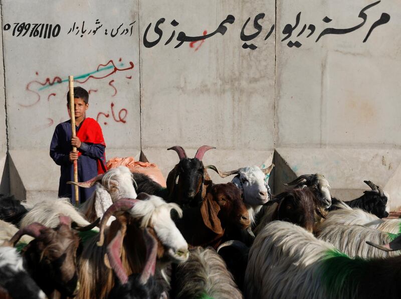 An Afghan boy waits for customers at a livestock market in Kabul, Afghanistan. Reuters