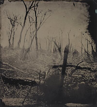 Sally Mann's 'Blackwater 13'. Photo: Sally Mann; Gagosian; Prix Pictet