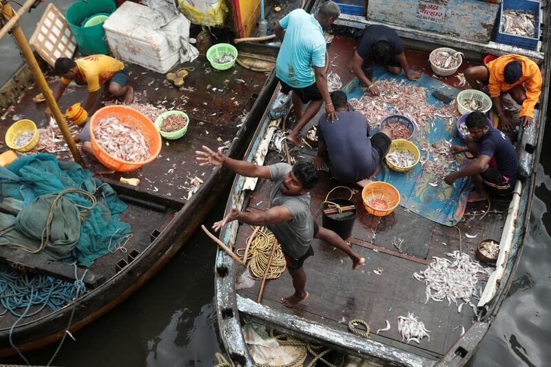 A fisherman throws a basket filled with fish to customers at a fish market in Mumbai, India. Reuters