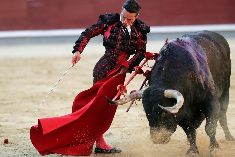 Spanish bullfighter Diego Urdiales fights a bull in Madrid, Spain.  EPA