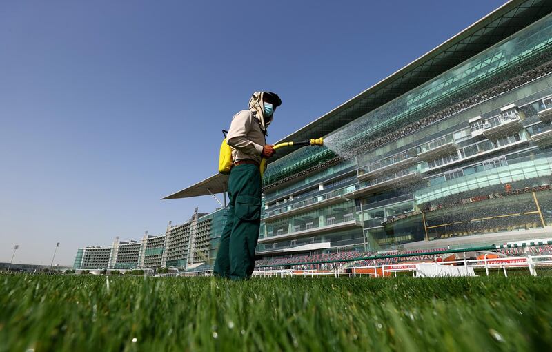 A worker waters the course ahead of the Dubai World Cup, at Meydan Racecourse, in Dubai. Getty Images