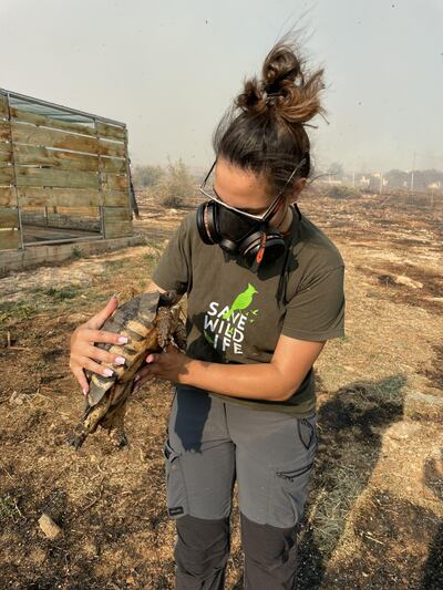 Greek volunteers and vets rescue animals affected by wildfires in Parnitha, near Athens. Photo: ANIMA Wild