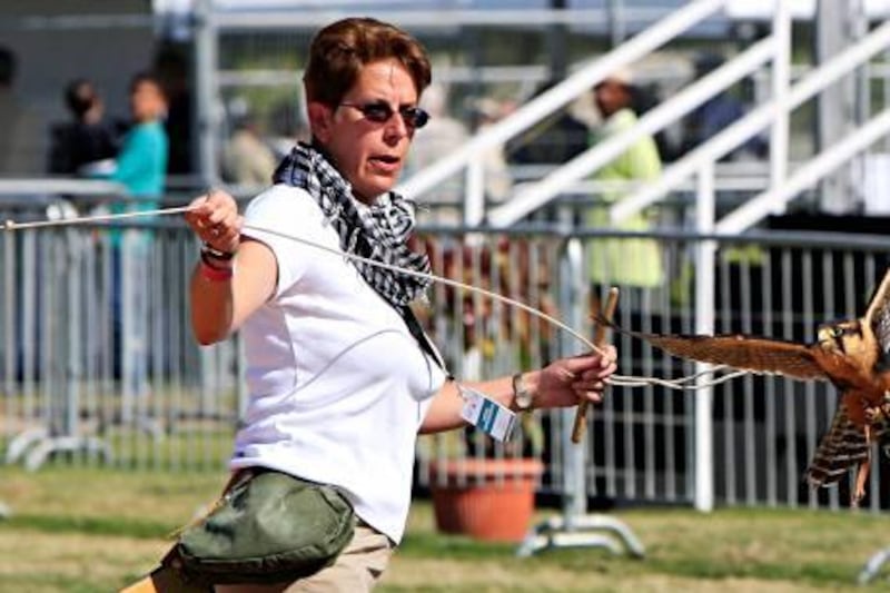 ABU DHABI - 15DEC2011 - Angie Chick from England shows her one year old Falcon hunting skills at the second International Festival of Falconry at al Jahili Fort yesterday in Al Ain. Ravindranath K / The National 
