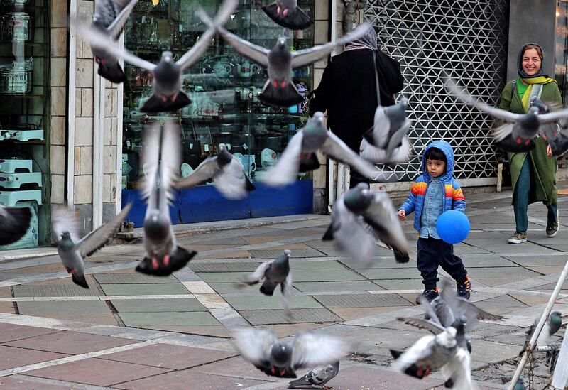 An Iranian boy chases pigeons in the capital Tehran. AFP