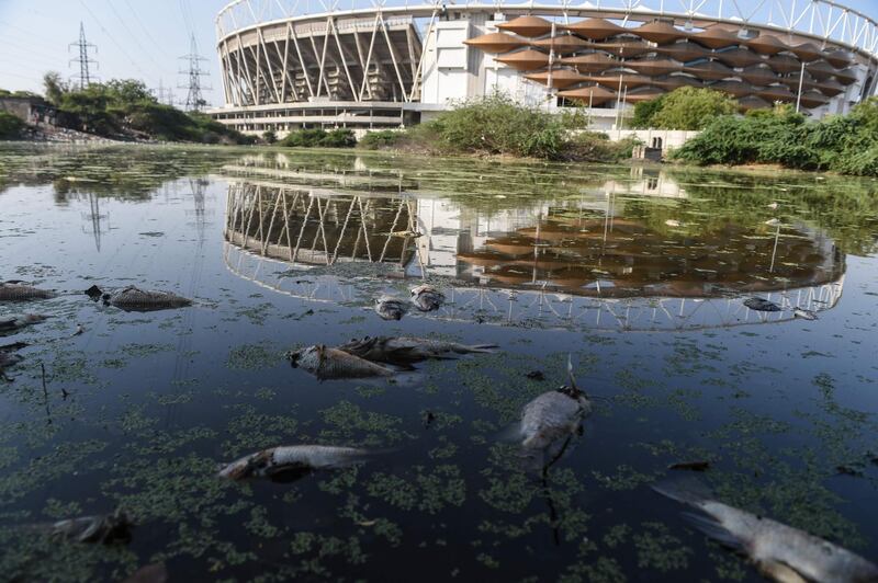Hundreds of dead fish float on stagnant water along the Sabarmati river behind Sardar Patel Stadium, the world's biggest cricket venue, that now stands emptu and unused in Ahmedabad. AFP