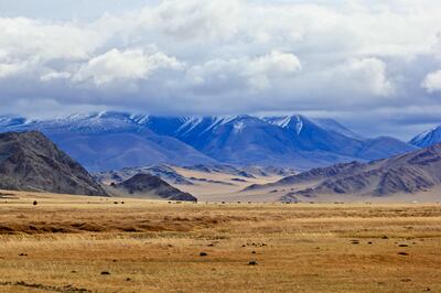 Mongolia has been named the best country to travel to in 2024 by Lonely Planet. Unsplash / Bolatbek Gabiden