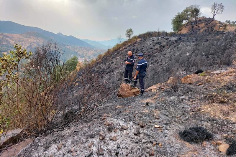 Firefighters examine the site of the Setif wildfire.