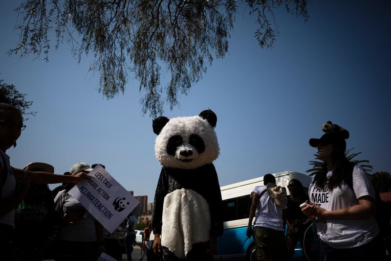 An environmental activist dressed as a panda marches during the Climate Strike march in Johannesburg, South Africa. EPA