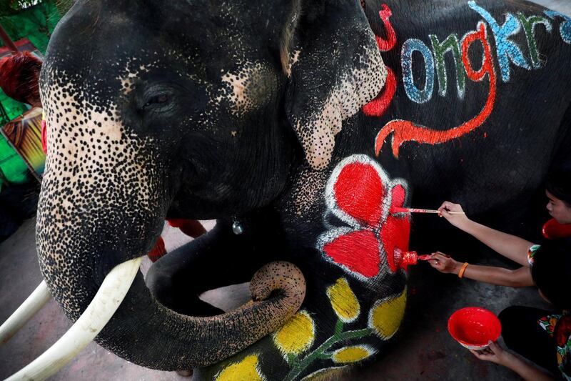 An elephant has paint applied ahead of celebrations for the water festival of Songkran in Ayutthaya, Thailand. Reuters