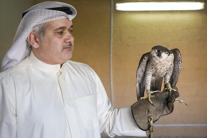 Portrait of Ahmad Al Nowaif, a Kuwaiti falconner.