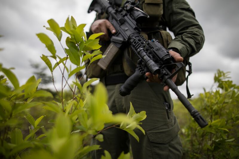 A police officer stands on a coca field during a manual eradication operation in Tumaco, southwestern Colombia. AP Photo