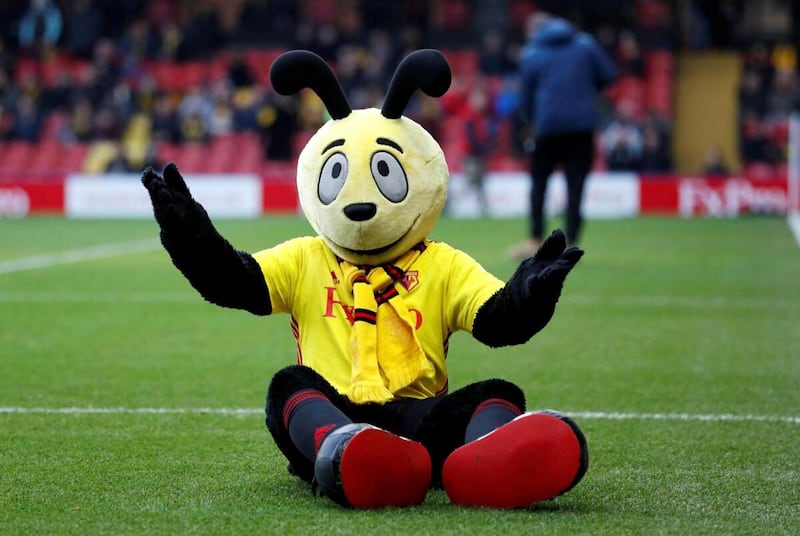 Watford's Harry the Hornet found himself stung by criticism from Crystal Palace's then-manager Sam Allardyce after mocking falling-over-friendly winger Wilfried Zaha by diving at his feet after an EPL game. How could you punish a face like that? Even if he does look like a dopier version of Disney dog Pluto. @1HHornet