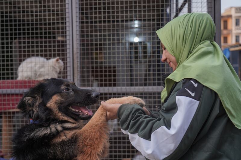 Mayssam Dhiaa Dawood, also known as Umm Aboodi, with one of the dogs at her animal shelter in Baghdad, Iraq. All photos by Haider Husseini
