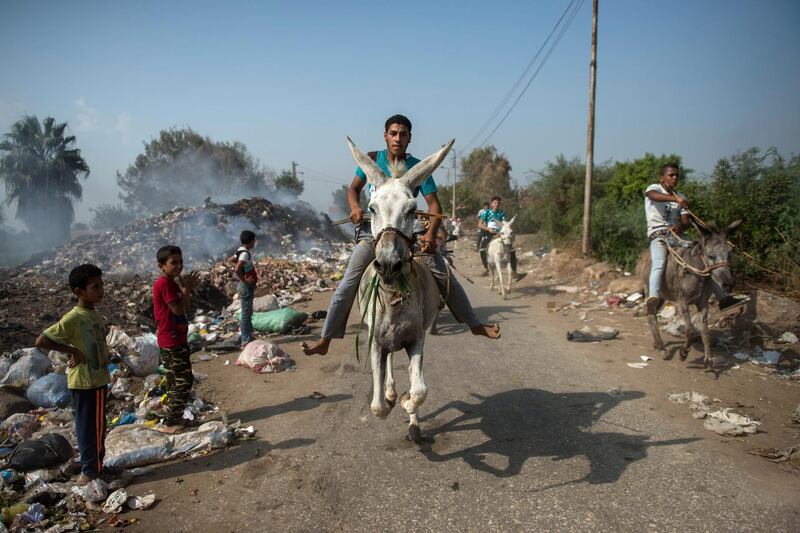 A donkey rider competes during a race at al-Baragel village, northern Giza, Egypt. EPA