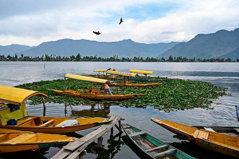 A Kashmiri boatman waits for customers in the Dal lake in Srinagar.  AFP