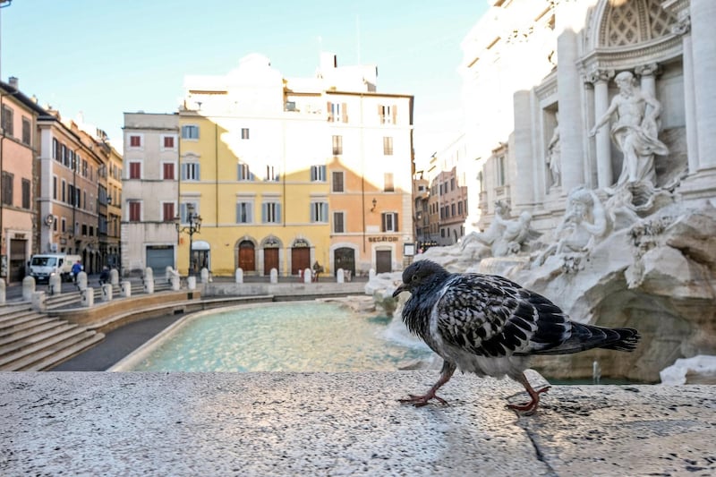 A pigeon ambles next to the iconic Fontana di Trevi in Rome. EPA