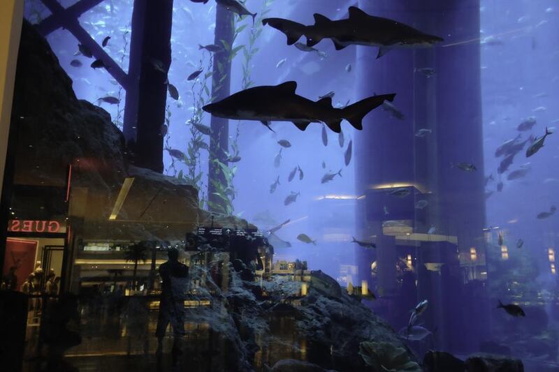 The aquarium at Dubai Mall. 75 million visitors flocked to the Dubai Mall in 2013 – 15 per cent more than 2012. Jaime Puebla / The National