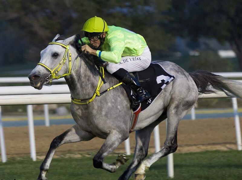 Adrie de Vries on Hameem wins the Group 2 Liwa Oasis in Abu Dhabi on Sunday, March 6, 2022. - DHRIC