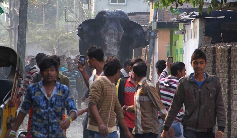 A wild elephant that strayed into the town moves through the streets as people follow at Siliguri in West Bengal state, India. AP Photo