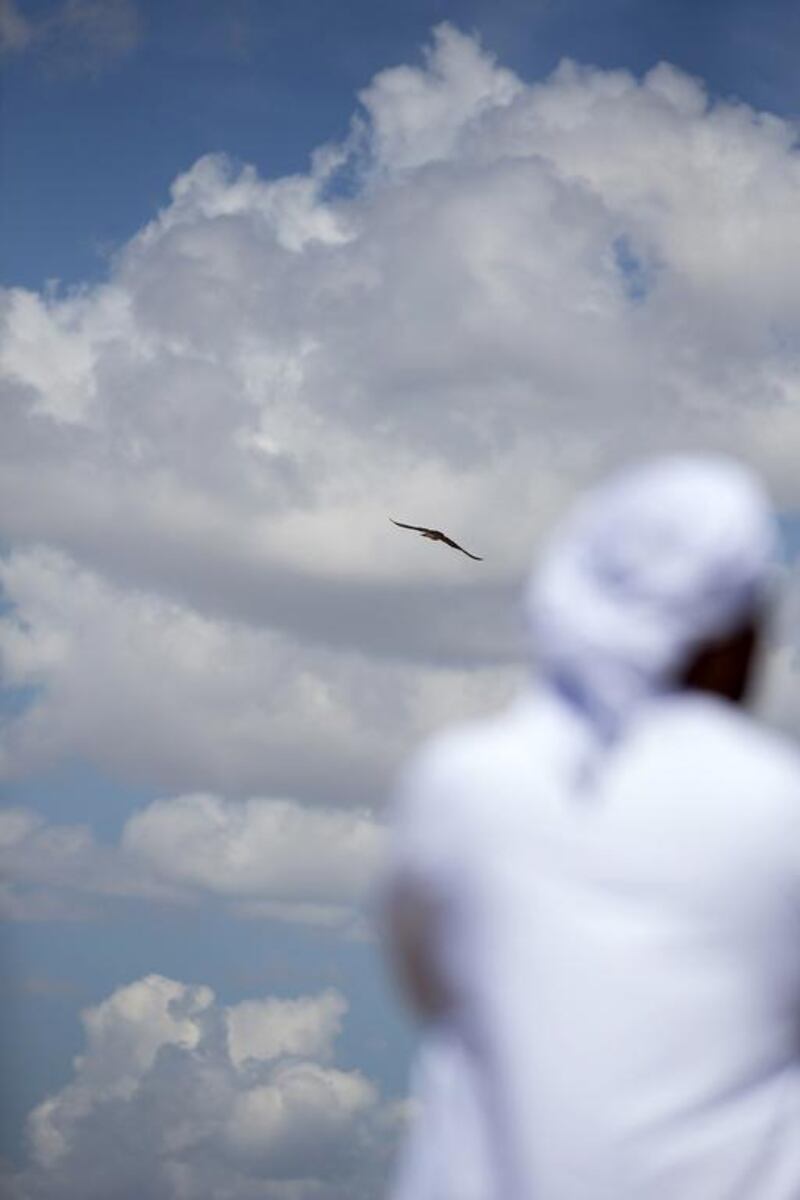 Head falconer Saif al Khaili of the private office of HH Sheikh Mohammed bin Zayed al Nahyan releases a female peregrin falcon in Aktau, Kazakhstan. Silvia Razgova / The National