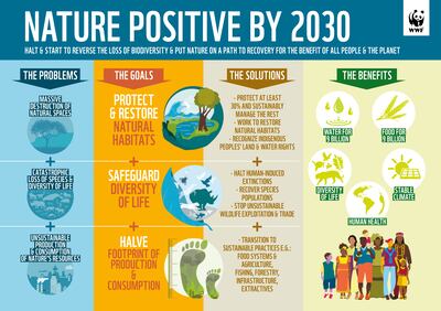 This WWF graphic shows what is needed to be 'nature positive' by 2030. WWF