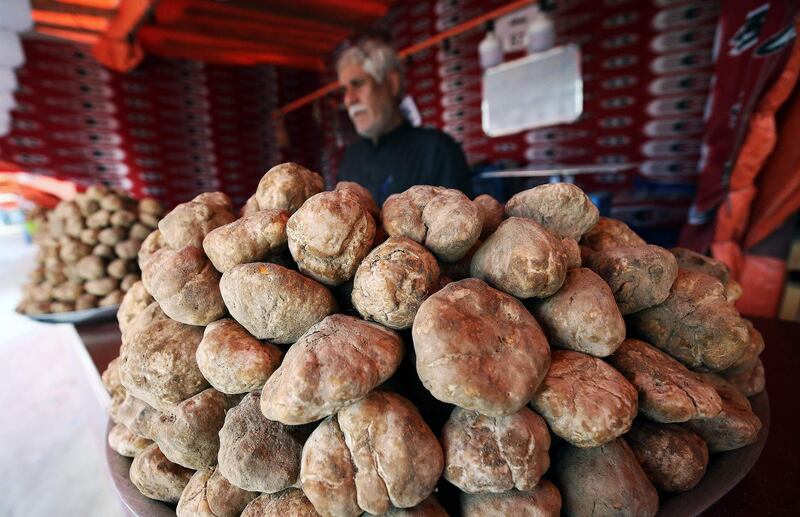 A bumper crop of desert truffles in Kuwait City. Collectors say that in a good year they can be harvested by the sackful. AFP