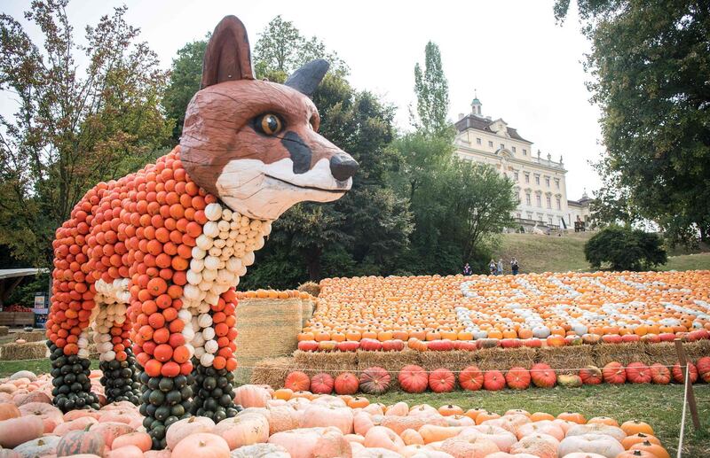 A fox sculpture made of pumpkins.  AFP