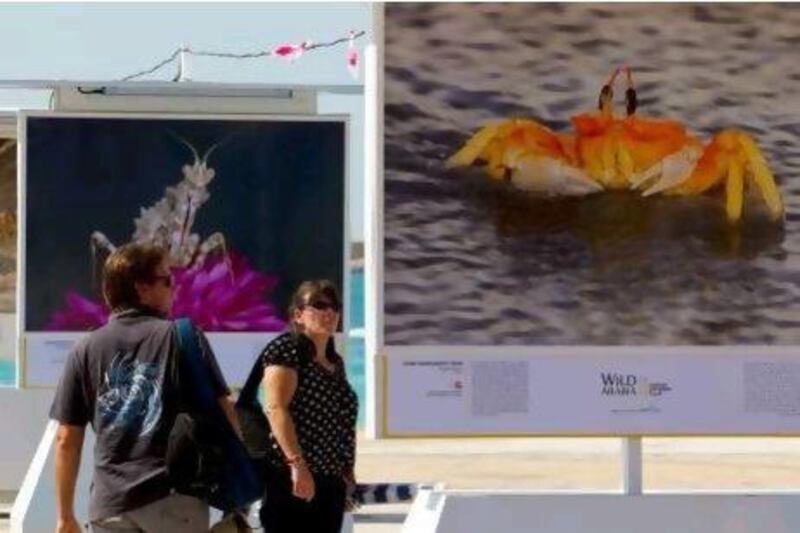 People take in the Wild Arabia National Geographic photographic exhibit at the east plaza along the Corniche.