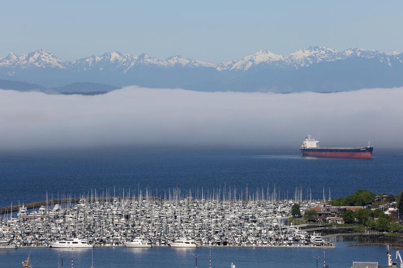 A marina, a cargo ship and the Olympic Mountains stretch into the distance, viewed from the Queen Anne neighborhood of Seattle, Washington, US. Reuters