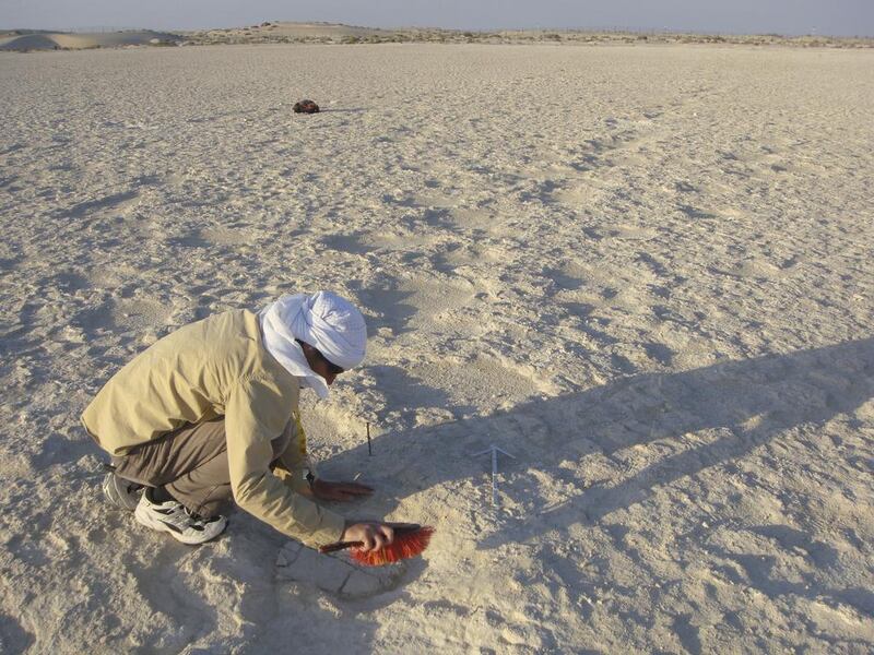 Dr Faysal Bibi carefully brushes out a fossil footprint, part of ‘a landscape of many landscapes’ in the UAE. Courtesy Mark Beech