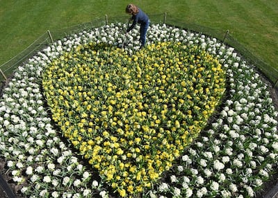 Kew horticulturalist Joanna Bates tends to a 'Yellow Hearts to Remember' planting tribute to remember those lost to COVID-19, a year since the first British lockdown began due to the coronavirus disease pandemic, Royal Botanic Gardens, Kew, London, Britain, March 22, 2021. REUTERS/Toby Melville