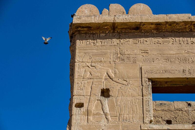 A pigeon flies by the top of the migdol tower at the Mortuary Temple of  Ramesses III at Medinet Habu. AFP