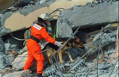 A German rescue worker and her German shepherd dog search for survivors in Erzincan, on March 16, 1992. AFP