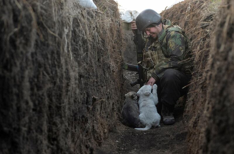 A Ukrainian soldier plays with adopted puppies on the line of separation from pro-Russian forces in the Donetsk region, Ukraine. Reuters