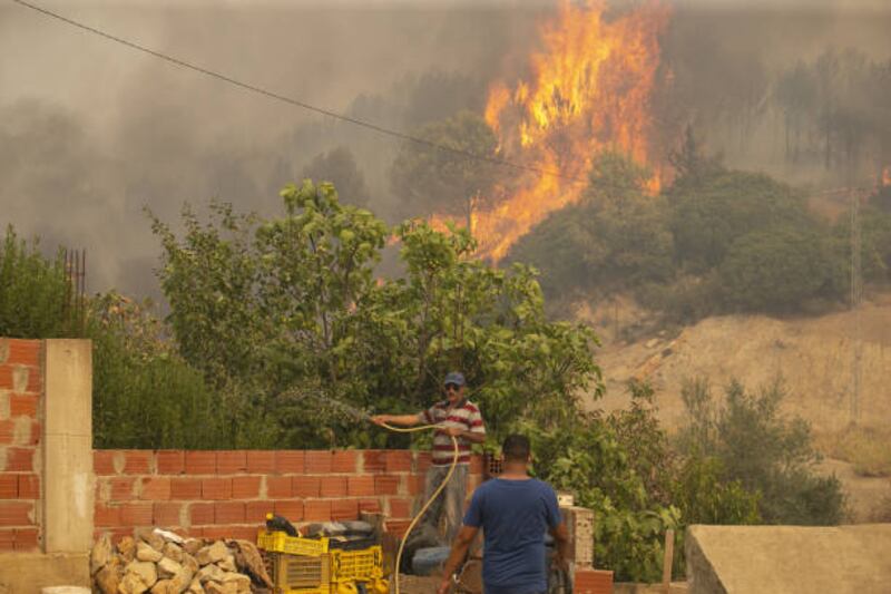 JENDOUBA, TUNISIA - AUGUST 12: A view of burning trees as extinguishing works continue for the wildfire in Firnanah in Jendouba province of Tunisia on August 12, 2021. Wildfires in Tunisia's northern Bizerte and Jendouba provinces have destroyed 450 hectares of the countryâs pine and acacia forests. (Photo by Yassine Gaidi / Anadolu Agency via Getty Images)