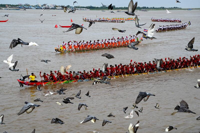 Pigeons join dragon boats during a race at the Water Festival on the Tonle Sap river in Phnom Penh, Cambodia. AFP
