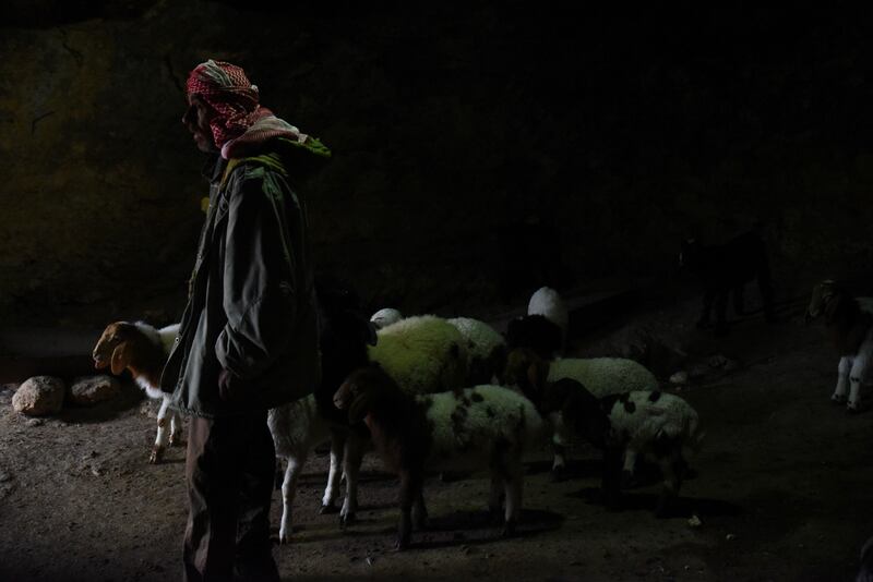 Mr Hamamdi with some of his flock.