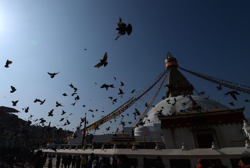 People feed pigeons at the Boudhanath Stupa in Kathmandu. AFP